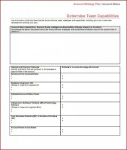 Sales Account Plan Template Free Download