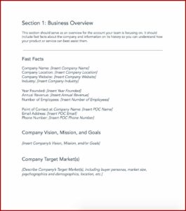 Sales Account Planning Template