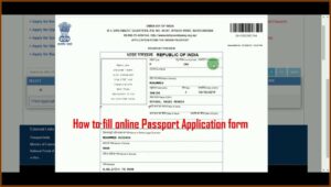 Application For Passport Renewal Form