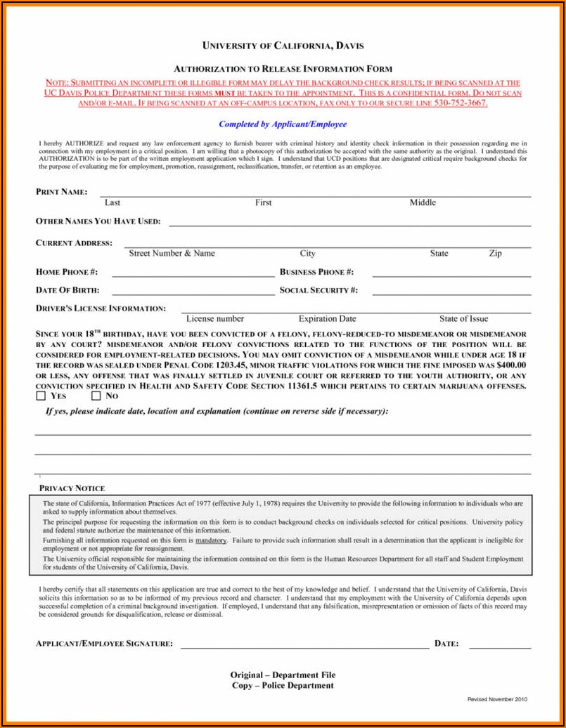 Background Check Authorization Form Template Word