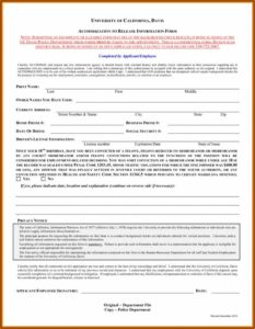 Background Check Consent Form Template