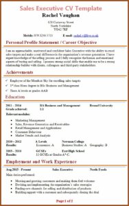 Best Executive Cv Template Uk