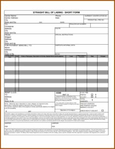 Bill Of Lading Template Free Download
