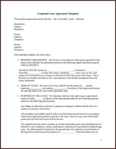 Cash Farm Lease Template