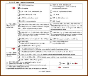 Chinese Visa Application Form Nyc