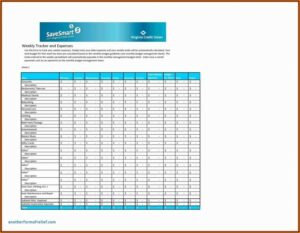 Daily Expense Tracker Template Excel