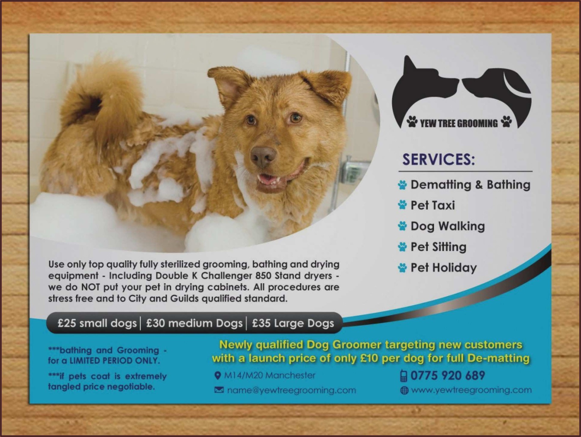 Dog Grooming Flyers Template