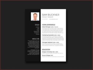 Elegant Cv Template Word Free