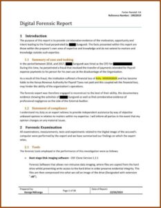 Forensic Accounting Report Template