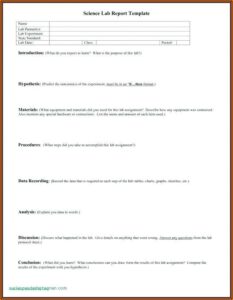 Forensic Audit Report Format