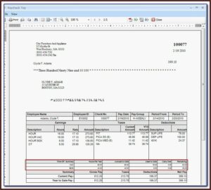 Free Pay Stub Templates Download