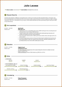 Mechanic Resume Template