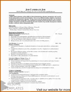 Modern Resume Template Free Download In Word