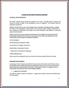 Ngo Project Proposal Template