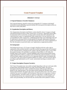 Ngo Project Proposal Template Pdf