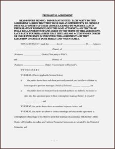 Prenuptial Agreement Template Word Uk