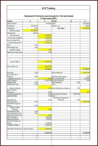 Profit And Loss Statement Template Xls