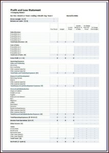 Profit And Loss Statements Template