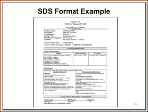 Sds Binder Cover Template