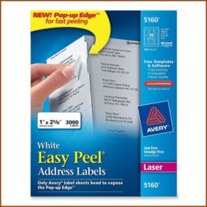 Staples Mailing Labels Template 5161