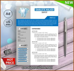 Technician Resume Template Word