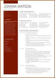 Top Executive Resume Templates