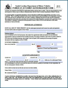 Durable Power Of Attorney Form South Carolina