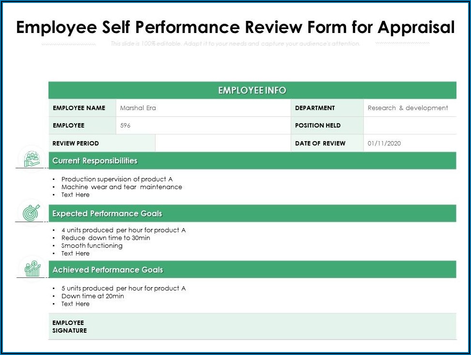Employee Performance Appraisal Form Example