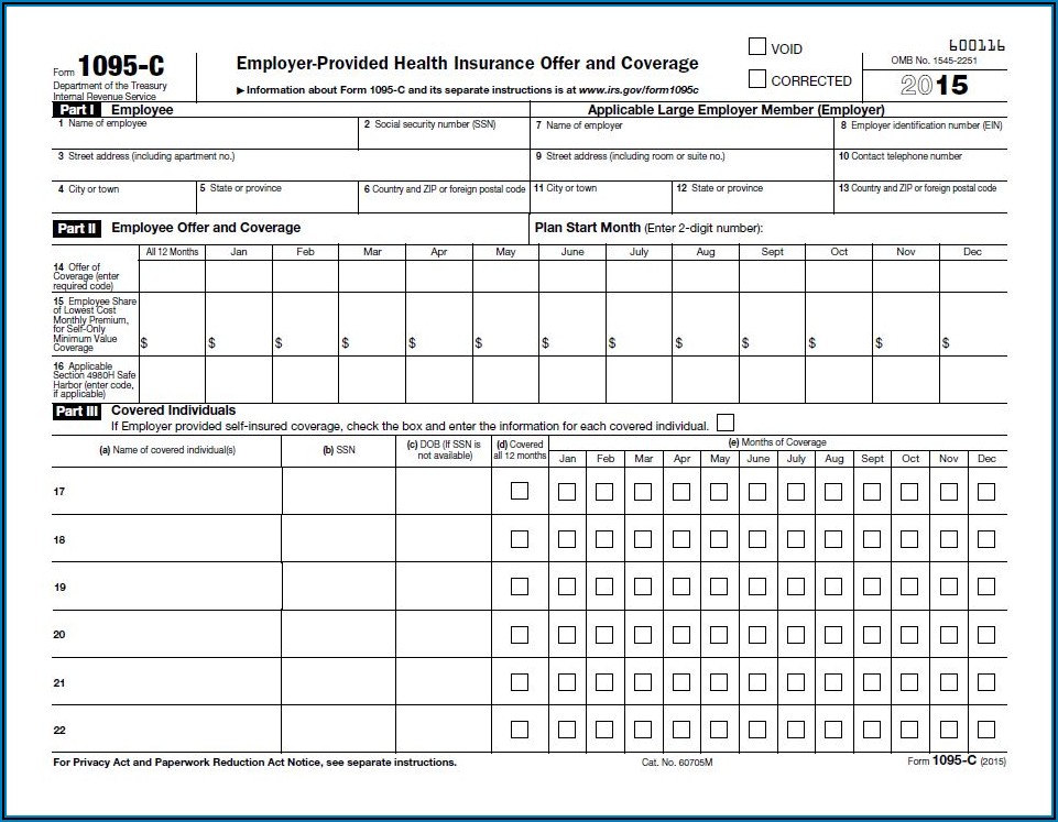 Form 1095 C Filing Requirements