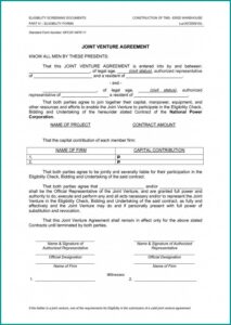 Form Joint Venture Agreement