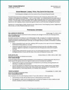 Free Business Plan Template For Real Estate Agents