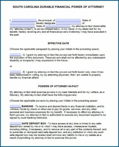 Free Durable Power Of Attorney Form South Carolina