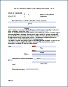 Free Power Of Attorney Form For Minor Child Illinois