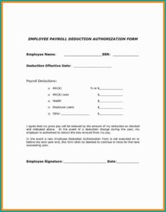 Paycheck Stub Template Adp