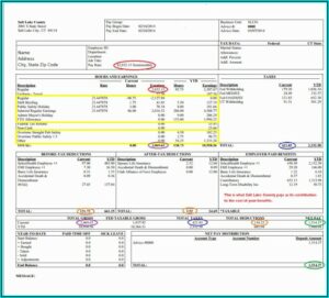 Paycheck Stubs Template