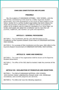 Sample Constitution And Bylaws Template