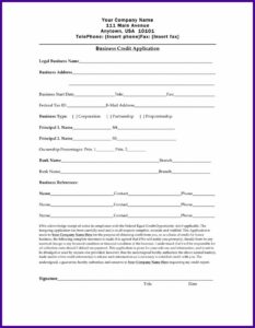 Business Credit Application Form Template Word