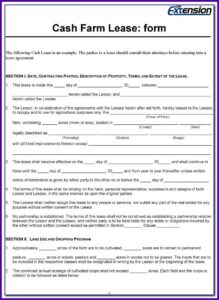 Car Lease Agreement Template Australia