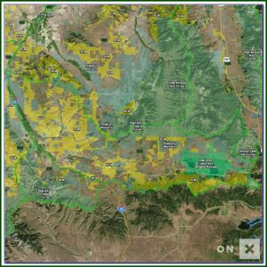 Edi Mapping Tutorial
