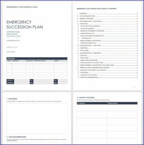 Emergency Ceo Succession Plan Template