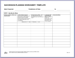 Example Of Succession Planning Template