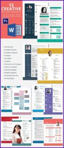 Free Infographic Resume Template Microsoft Word