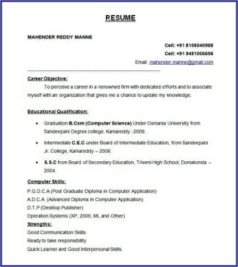 Free Resume Formats Templates