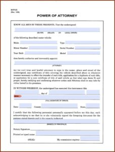Legal Guardianship Forms Florida