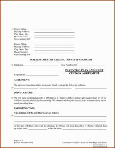 North Carolina Emergency Custody Form