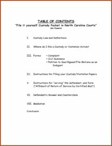 North Carolina Visitation Forms