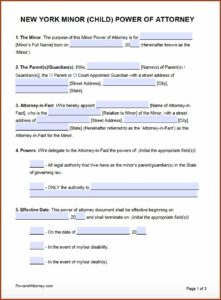 Nys Power Of Attorney Form 2018 Pdf