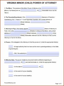Nys Power Of Attorney Form 2019 Pdf
