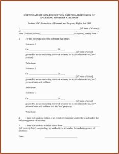 Nys Power Of Attorney Form Pdf