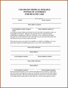 Nys Power Of Attorney Forms